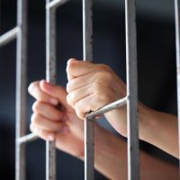 _Jail Release _Jail Release